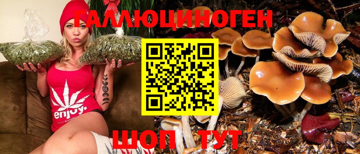 Псилоцибиновые грибы прущие грибы  Вход с VPN  Тюмень 