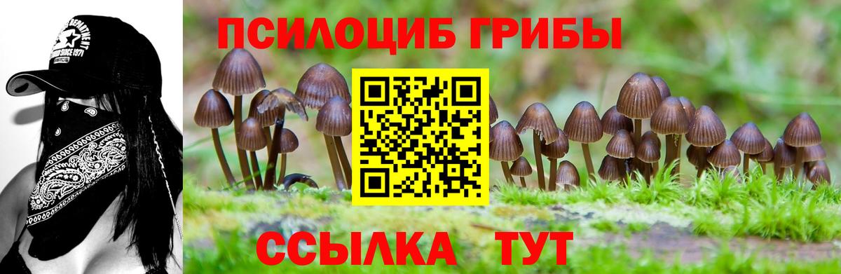 Галлюциногенные грибы Magic Shrooms Тюмень